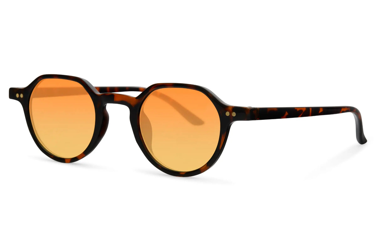 FAME Zova 8315 - Vue 2