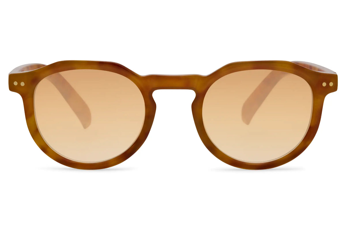 FAME Zova 8318 - Vue 1