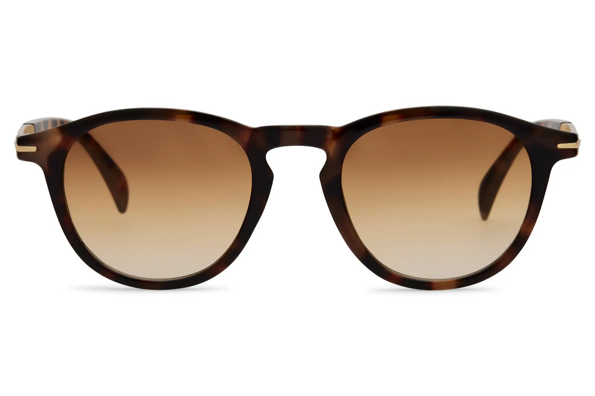 FAME Palo 8323 - Écaille Marron Dégradé - Vue de face