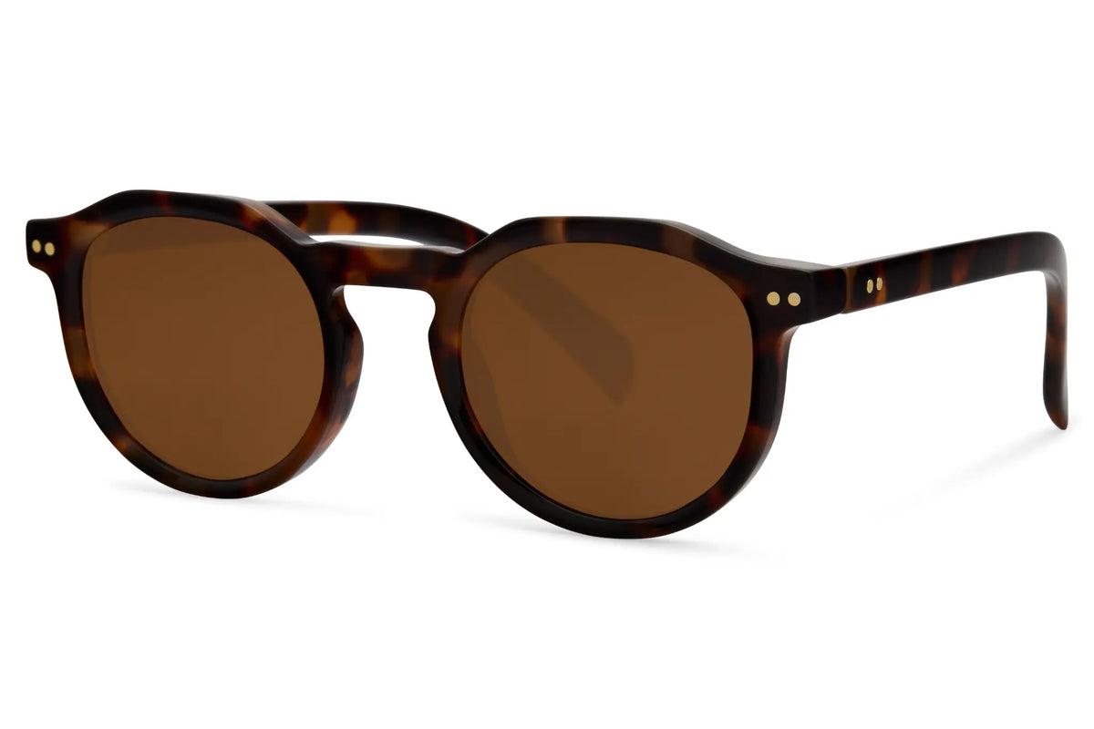 FAME Zova 8316 - Vue 2
