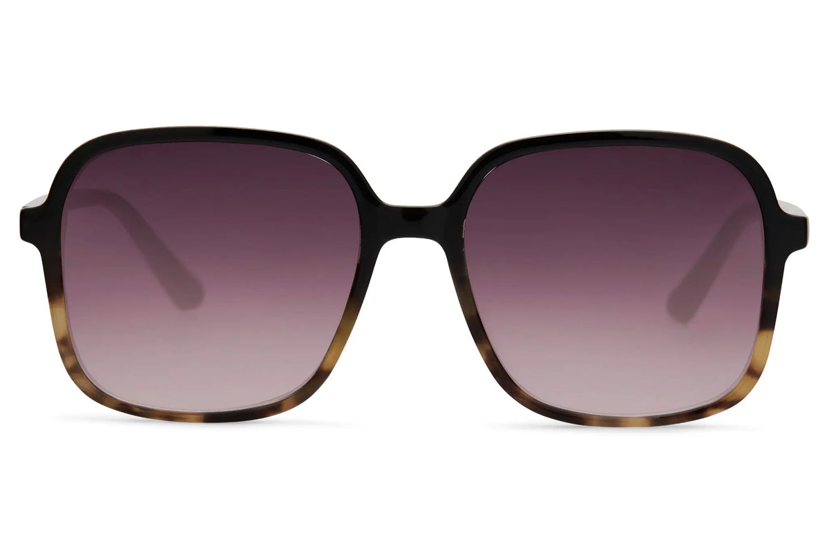 FAME - Caro Noir Écaille Havane / Mauve Dégradé - Vue face