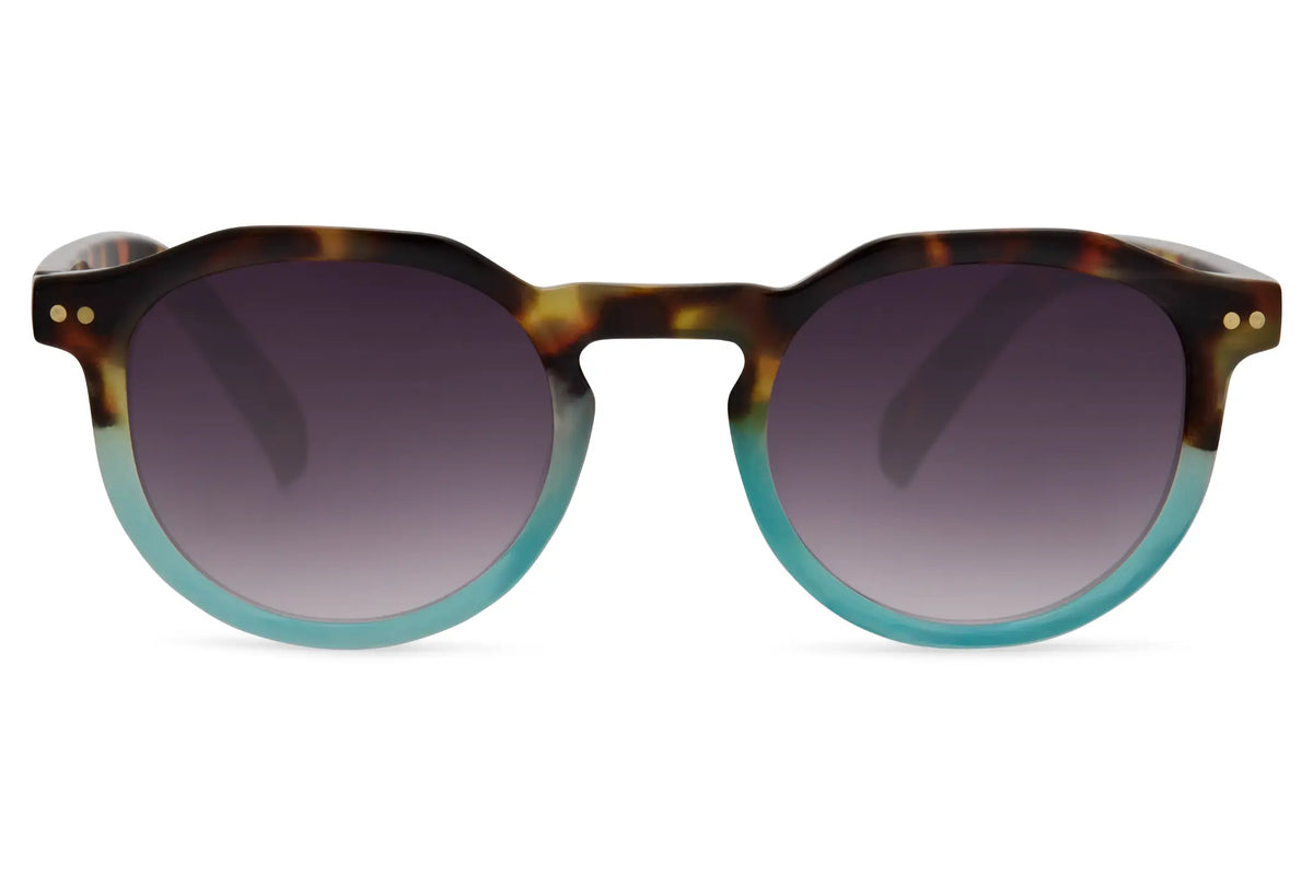 FAME Zova 8320 - Vue 1