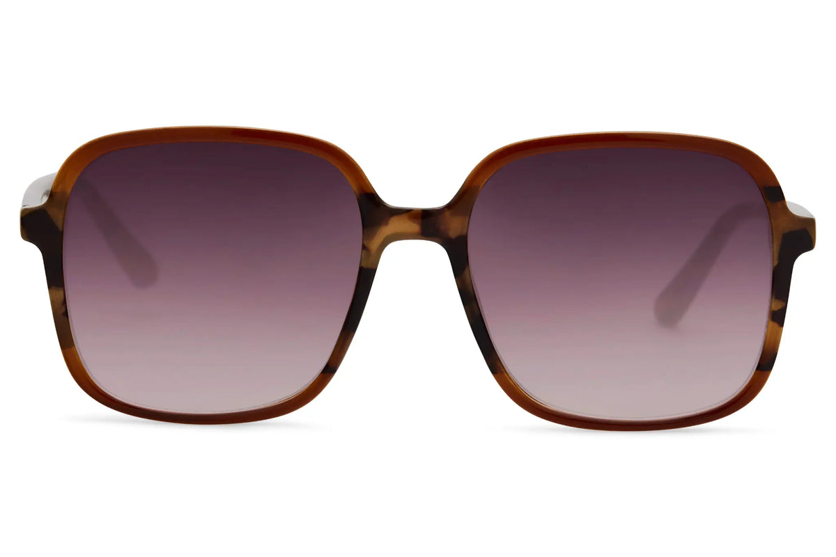 FAME - Caro Écaille Havane / Mauve Dégradé - Vue face