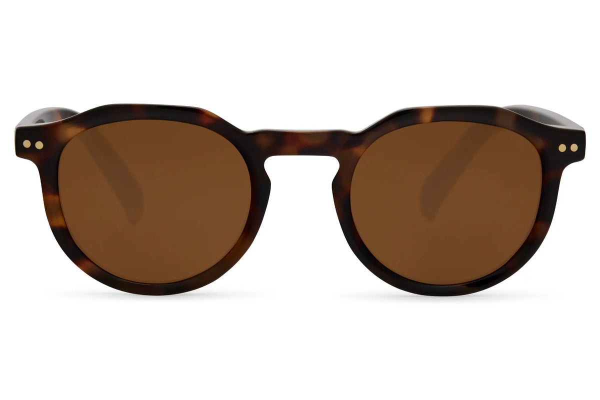 FAME Zova 8316 - Vue 1