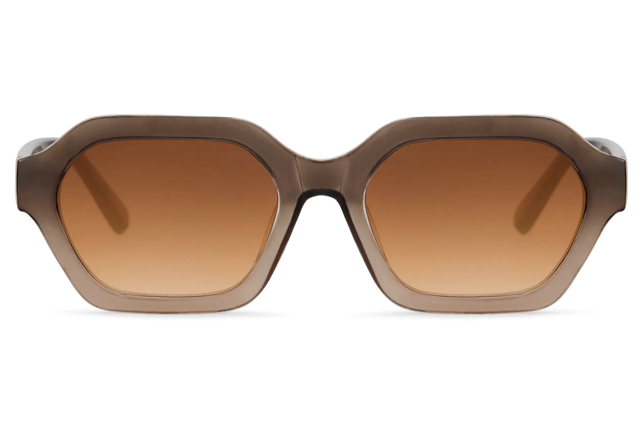 Lunettes Taupe Dégradé - Vue de face
