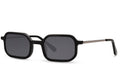 FAME - S2039 - S2040